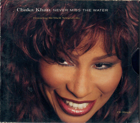 Chaka Khan Featuring Me'Shell NdegéOcello ‎– Never Miss The Water