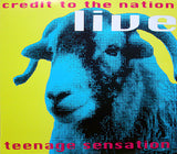 Credit To The Nation – Teenage Sensation (Live)