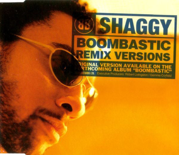 Shaggy ‎– Boombastic (Remix Versions)