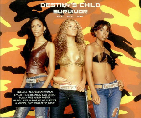 Destiny's Child ‎– Survivor
