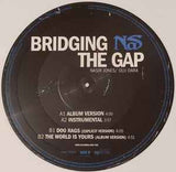Nas ‎– Bridging The Gap-Single, Limited Edition, Picture Disc