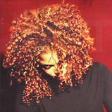 Janet* ‎– The Velvet Rope