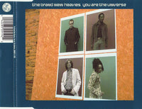 The Brand New Heavies ‎– You Are The Universe